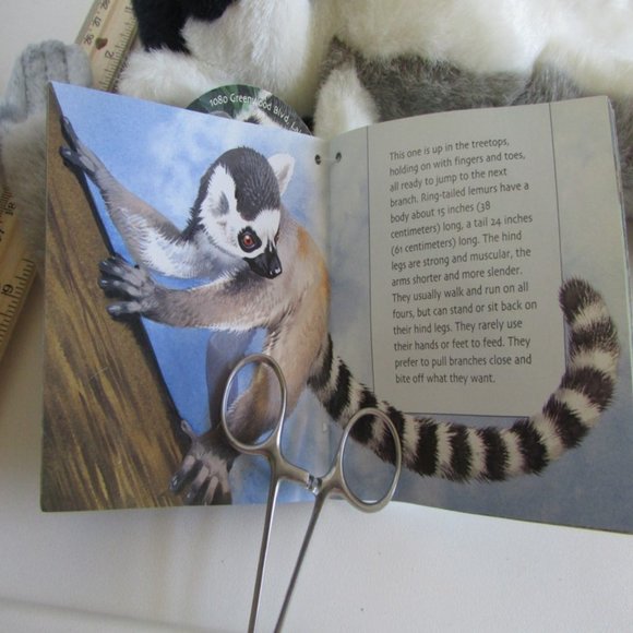 RING TAILED LEMUR w Book HOOK LOOP PAWS no wire SOFT 17" PLUSH Stuffed Animal - Picture 11 of 14
